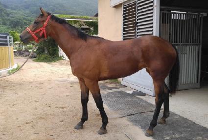 ȭ�����¾� ����