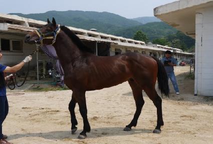 �����¿� ����