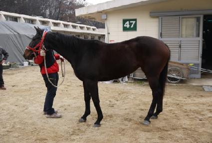 õ�� ����