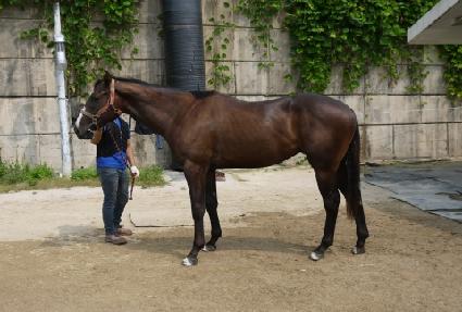 �۷ι��帲 ����