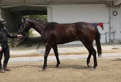 ��Ŭ���� ����