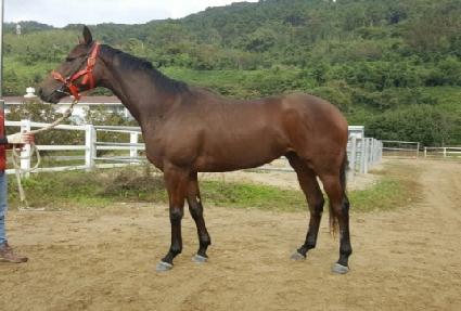 ���ֽ�Ÿ ����