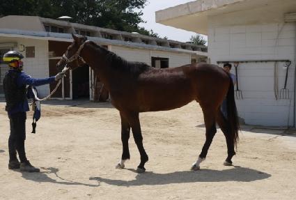 ���̶��̾� ����