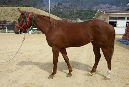 ������ ����