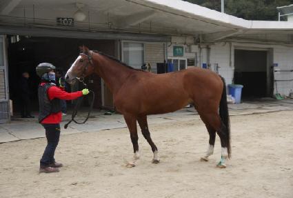 ��õ��ȥ ����