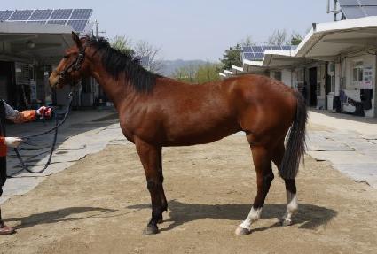 ī��Ʈ�ٿ� ����