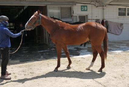 ��Ʈ�� ����