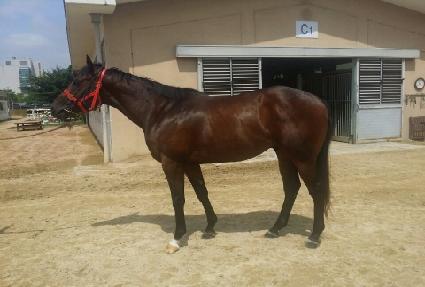 ��ȣ�ô� ����