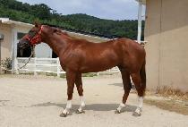 ������ (TODAY) ����