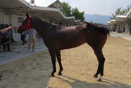 �����Ǽҽ� ����