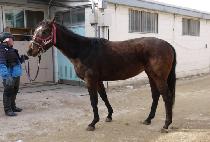 ������ŷ (IMPEURAM KING) ����