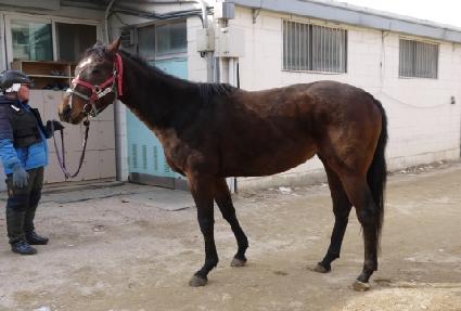 ������ŷ ����