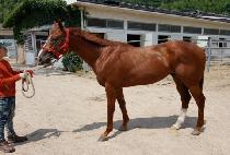 SINUIPUMGYEOK picture