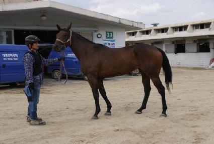 ���ö��� ����