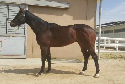 ������ ����