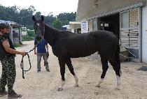 ������Ÿ�� (NEW HIGH TIME) ����