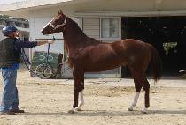 ���̿������ (J.S. GOLD) ����