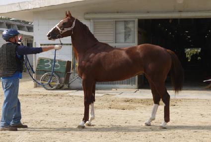 ���̿������ ����