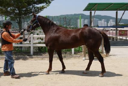 ��׺�� ����