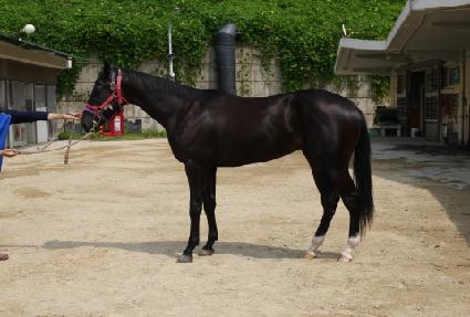 ��ǳ���� ����