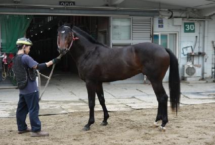 �Ŀ��ڸ��� ����