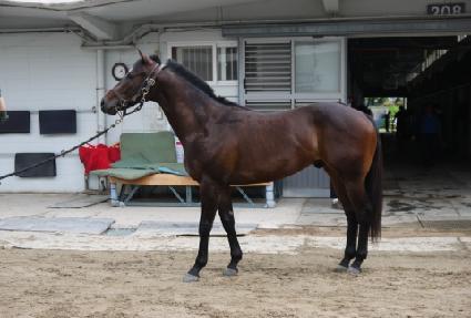 ��ġ ����