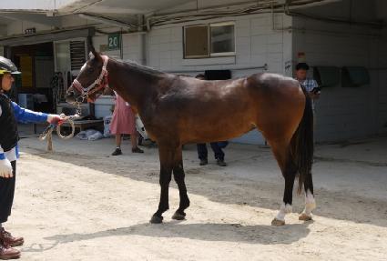 �������� ����