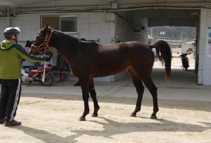 ��ī�̺� ����