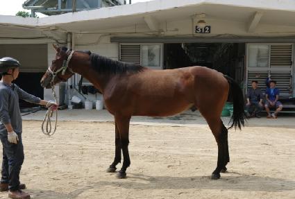 �ý�Ǫ������ ����