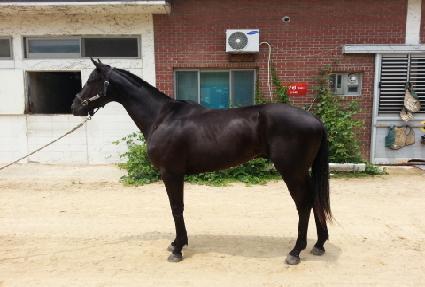 ������� ����