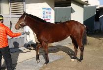 ���ʽ����� (WINNER��S DAY) ����