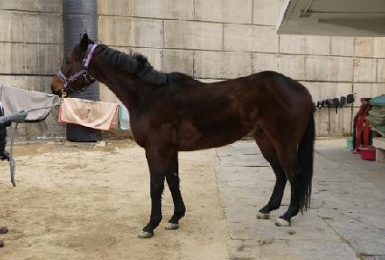 ��볪�� ����