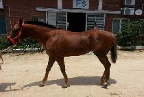 �������� (HAPPY TOUR) ����