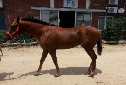 �������� ����