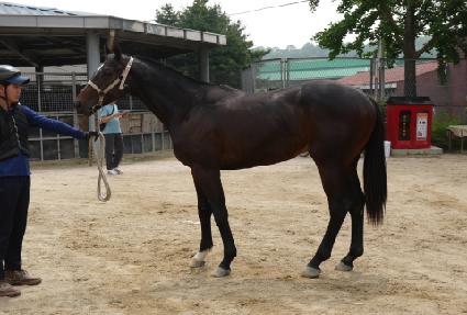 ��Ÿ���� ����