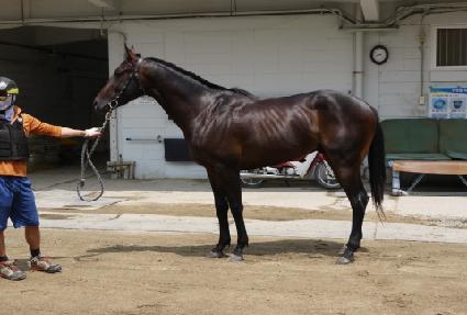 ȫ�ֵ��� ����