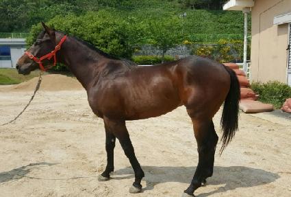 ���ϵ��� ����