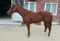 ��Ʈ��ǽ�� (MOST POPULAR) ����