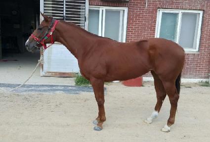 ��Ʈ��ǽ�� ����