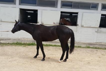 �����Ǳ�ȸ ����