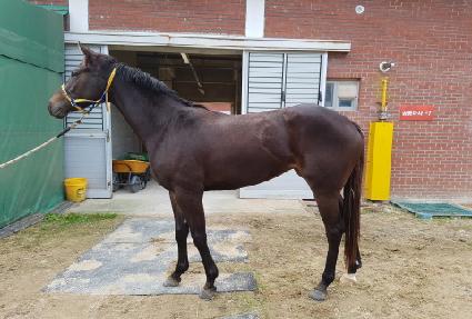 ���οŸ ����