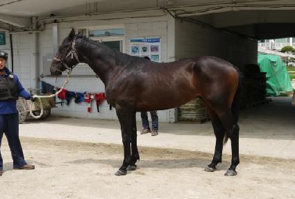 ������ ����