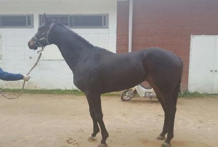 �������� ����