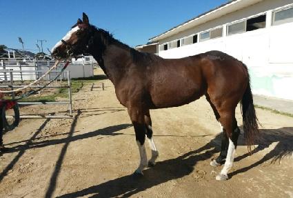 ��� ����