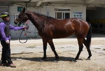 ����Ų (RUBY BEOLKIN) ����