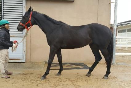 Ư�ް��� ����