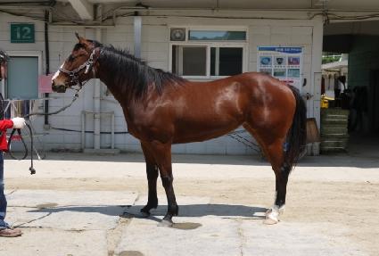 �����ǳ��� ����