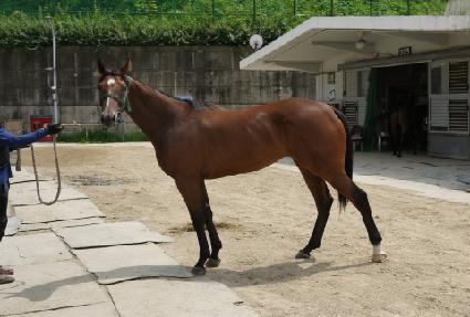 Ȳ�ݿ��� ����