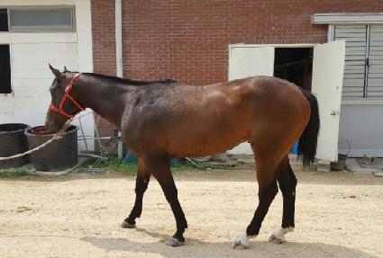 �Ŵϵ𼾴�Ʈ ����