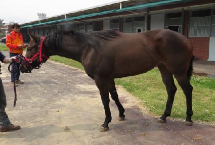 ����¡���丮 ����